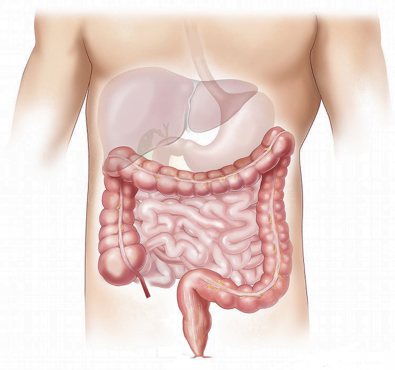 9 effective Natural laxatives for immediate bowel movement